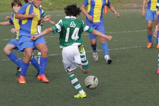 开云-里昂鏖战FLY，迪马利亚完成史诗逆转强强对话四强赛，让粉丝疯狂欢呼